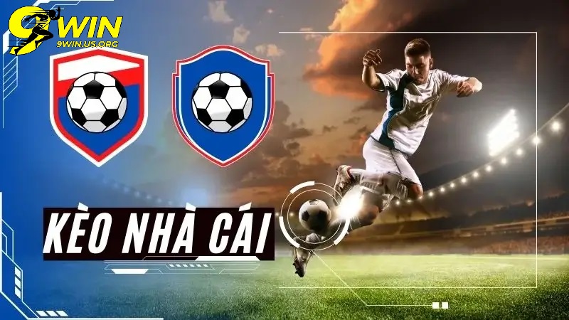 Tại sao Kèo cá cược 9win được đánh giá cao?